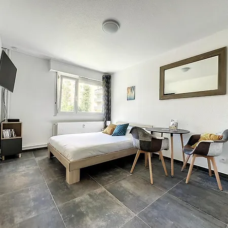 Proche Gare Near Basel Wi-fi *