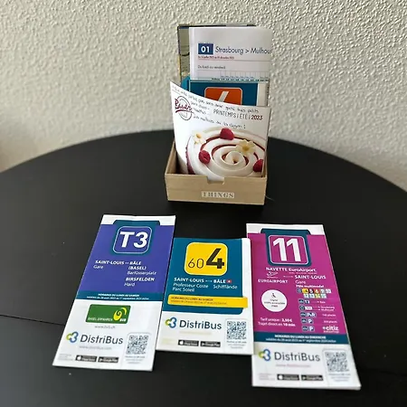 Apartament Proche Gare Near Basel Wi-fi