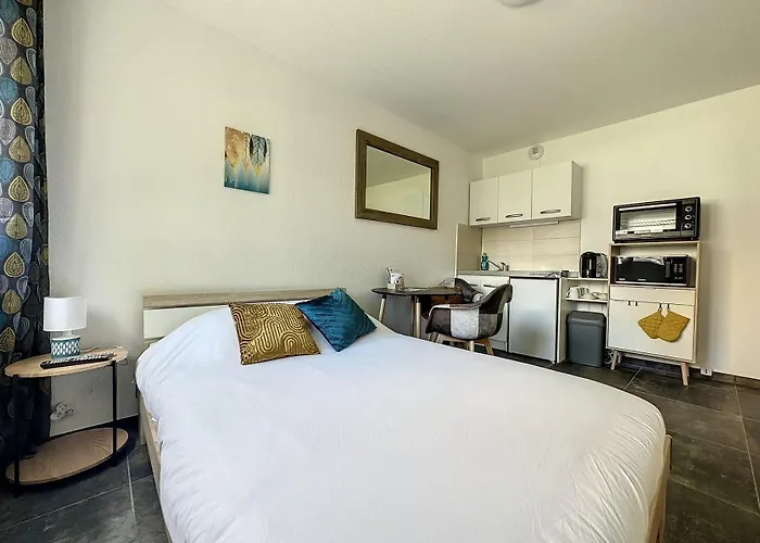 Proche Gare Near Basel Wi-fi * Saint-Louis (Haut-Rhin)