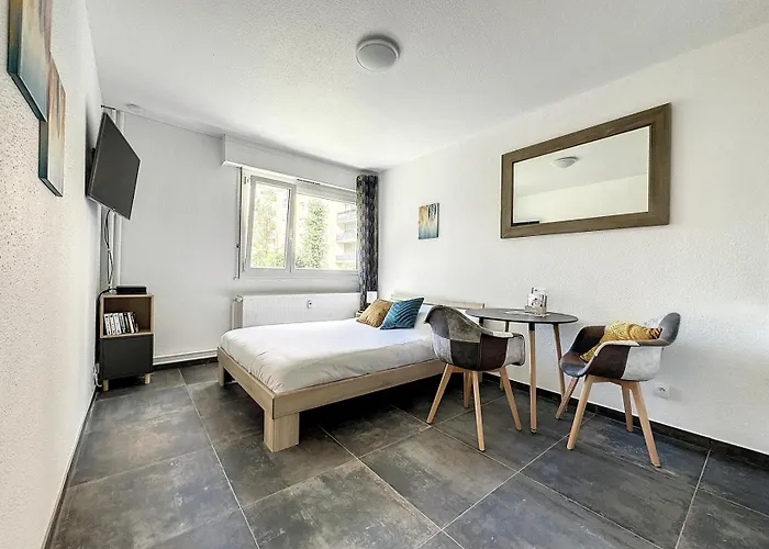 Proche Gare Near Basel Wi-fi *