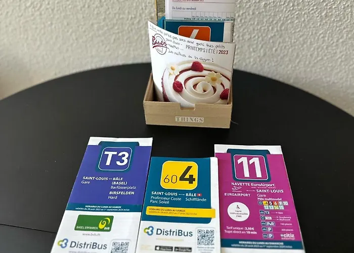 Apartamento Proche Gare Near Basel Wi-fi