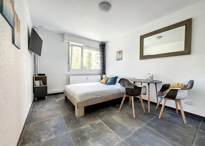 Proche Gare Near Basel Wi-fi Apartamento